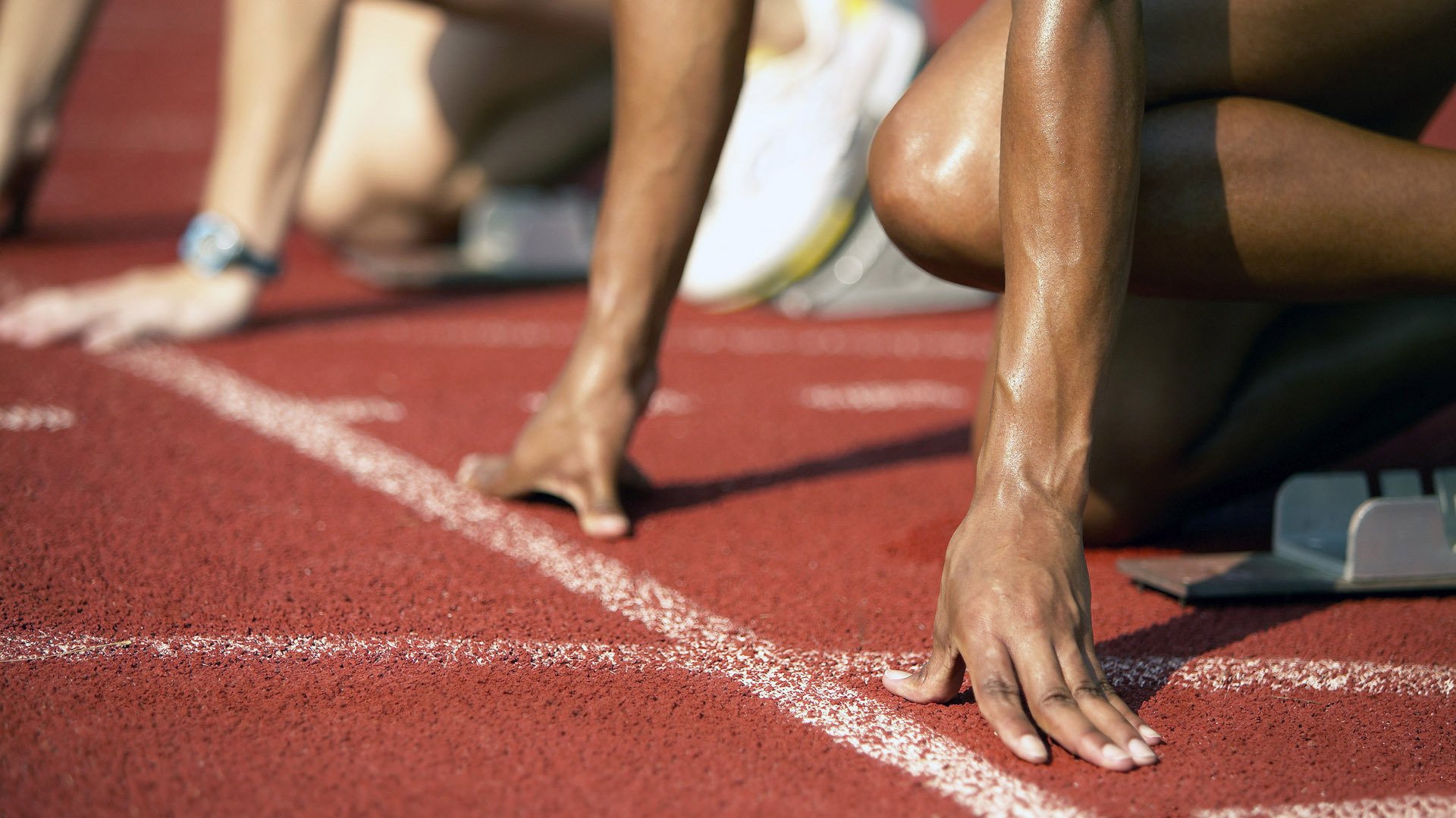 AYX官网-“美洲狮队进军橄榄球冠军赛决赛，世界橄榄球格局或将改变”